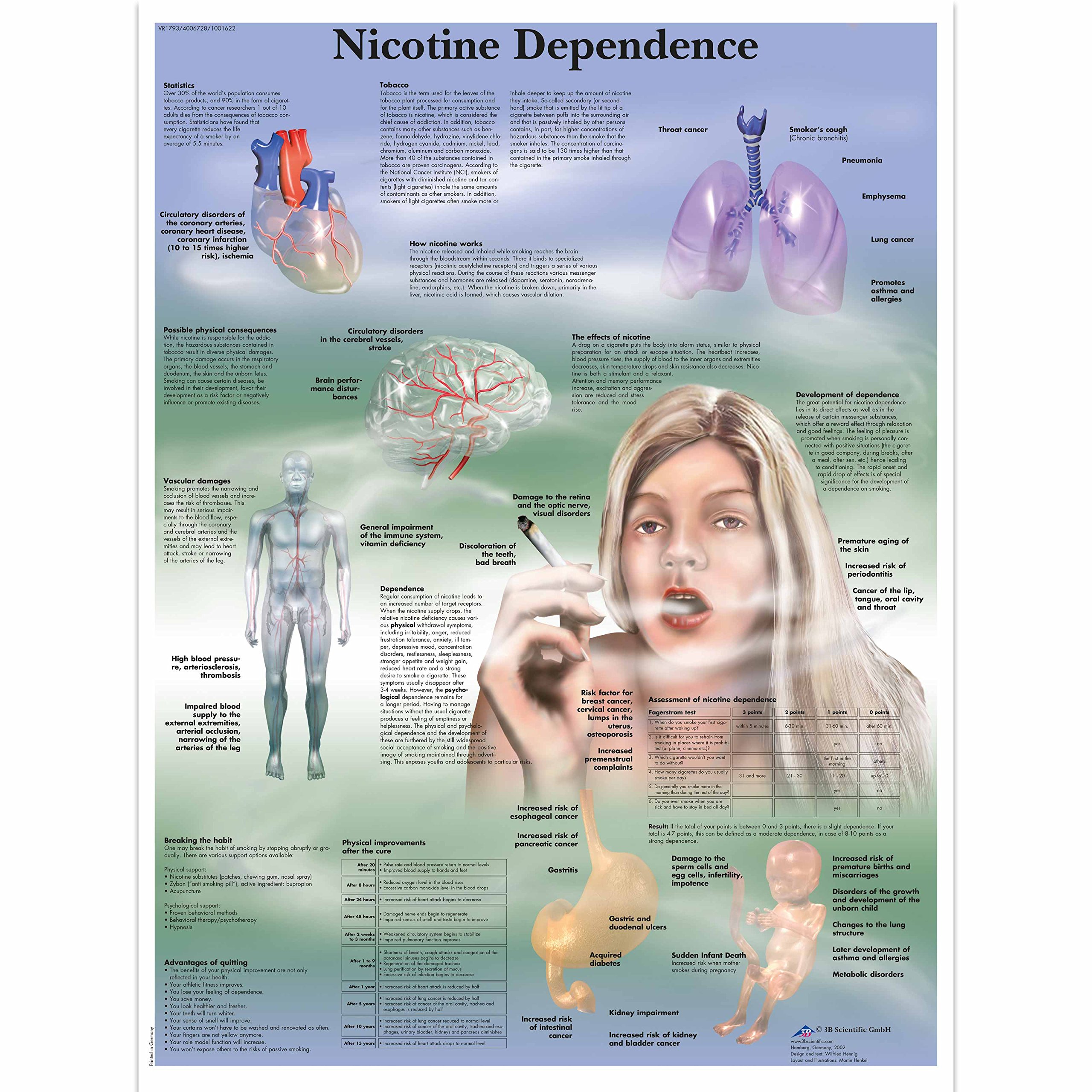 3B Scientific Human Anatomy - Nicotine Dependence Chart, Paper Version