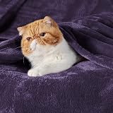 Bedsure Fleece Throw Blanket 150x200 cm Purple Microfibre view 2
