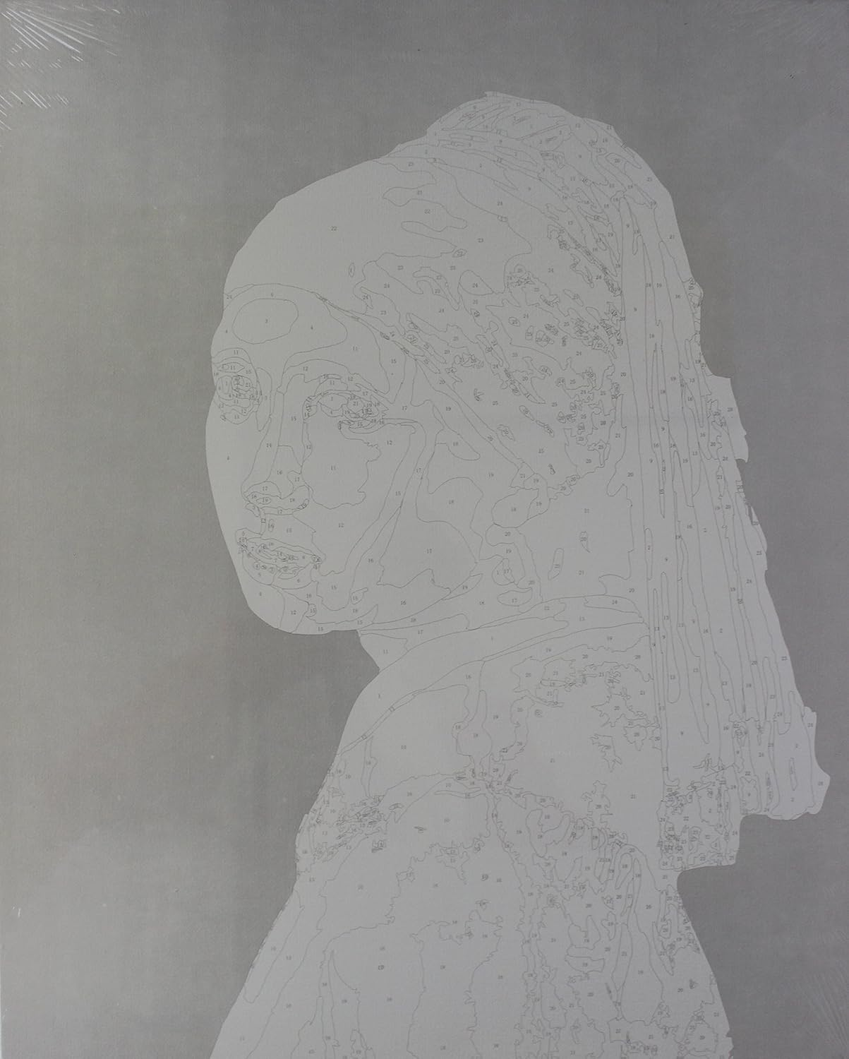 DIY pittura a olio ragazza con l orecchino di perla 40 6 x 50 DIY pittura a olio ragazza con l orecchino di perla 40 6 x 50 8 cm su telaio in legno Amazon Casa e cucina