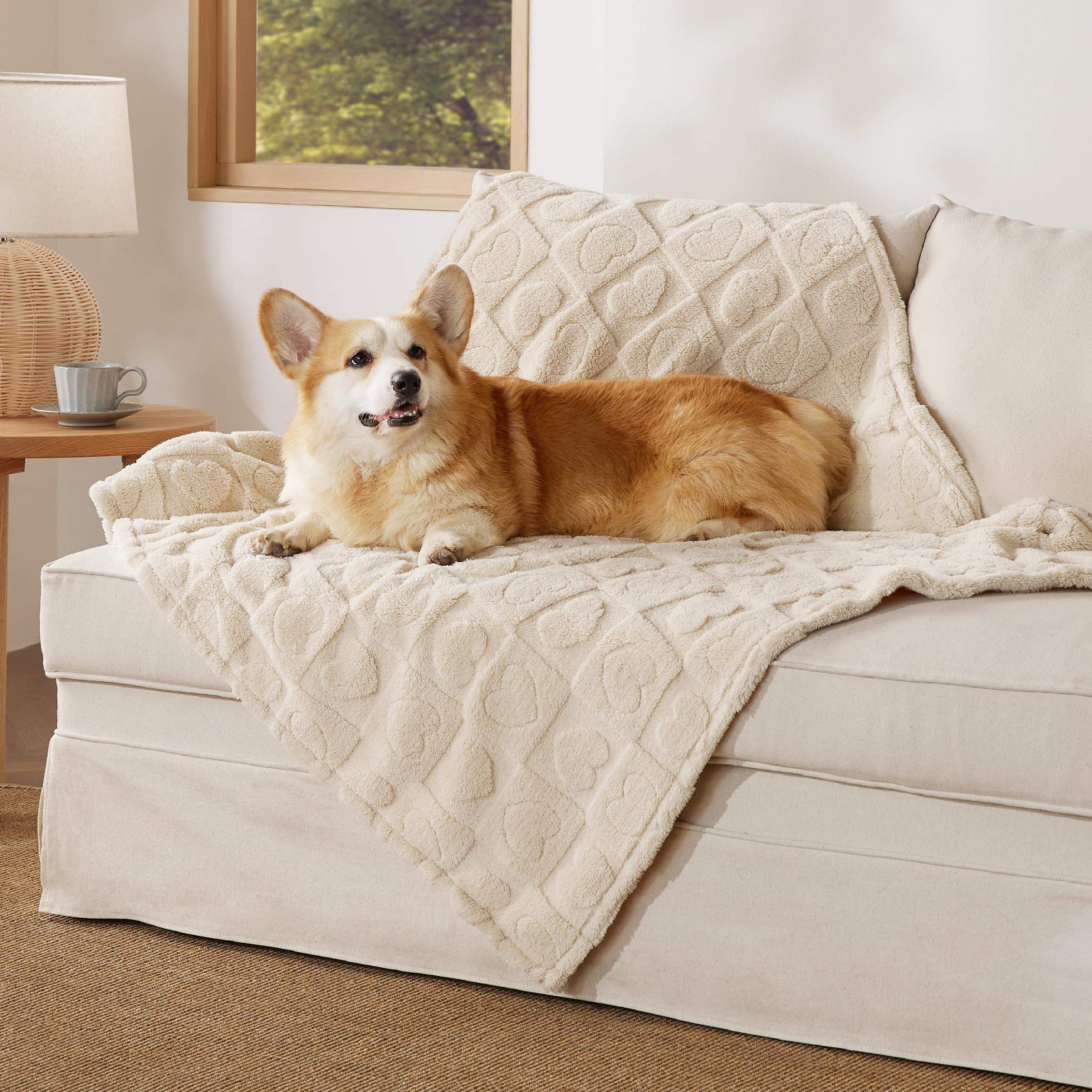 Photo 1 of Bedsure Dog Blankets for Large Dogs Washable - Fluffy Fuzzy Cat Puppy Blanket with Premium 300GSM Coral Fleece Soft for Pet Kitten Doggy, White, 40x50IN