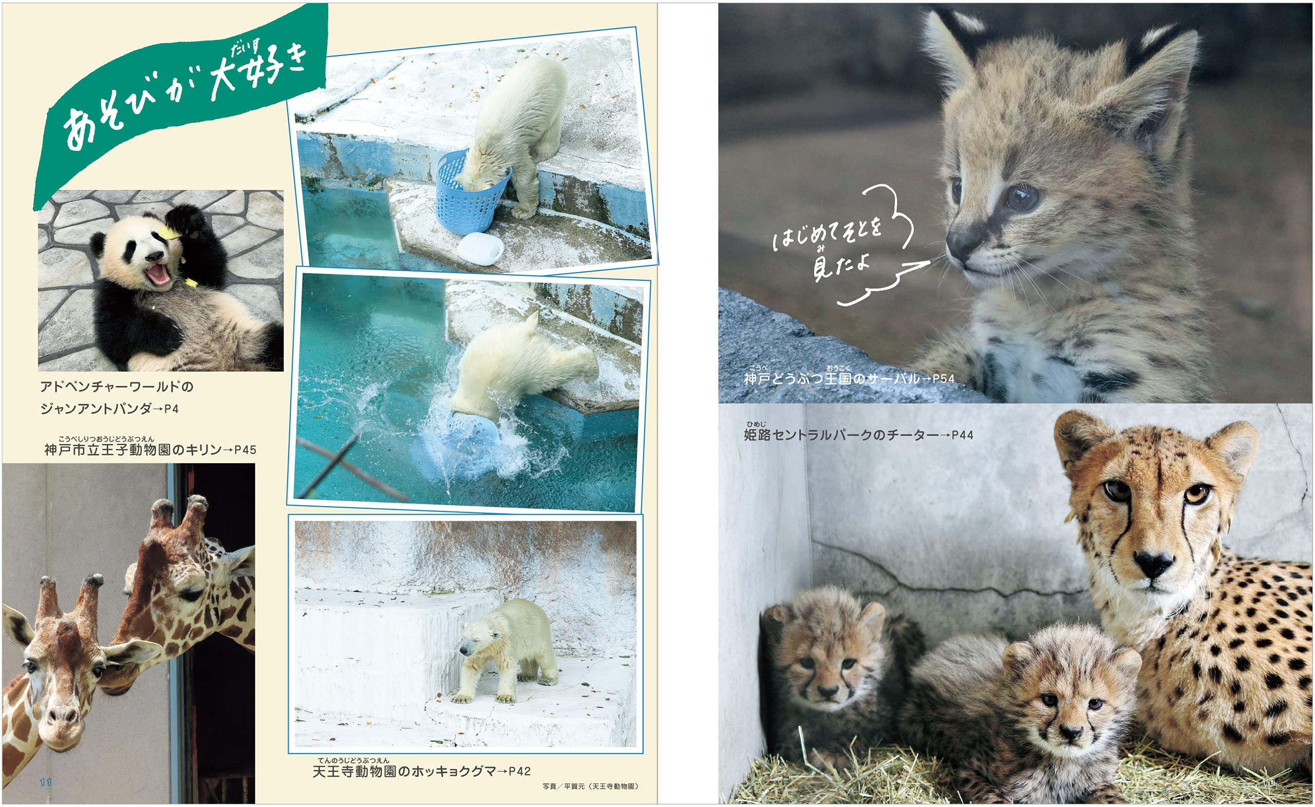 関西みんなの動物園と水族館 エルマガmook 京阪神エルマガジン社 本 通販 Amazon