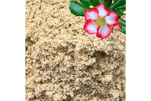 GARDENWISE Fine Sand for Plants – Horticultural Sand for Succulents, Cactus, Potting Mixes, Terrariums & Decorative Indoor Gardens, Made in USA (1 Quart - 2.8 lbs)