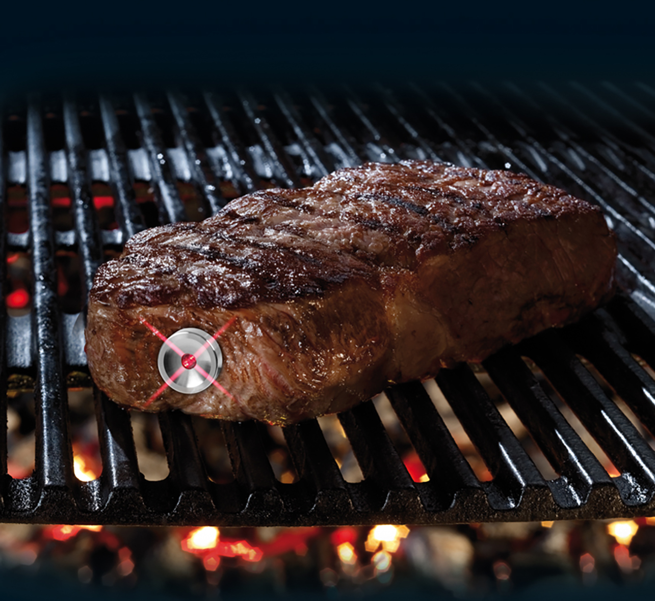 Amazon.com: SteakChamp 3c black, The Steak Thermometer, 3-color 