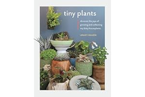 Tiny Plants: Discover the joys of growing and collecting itty-bitty houseplants