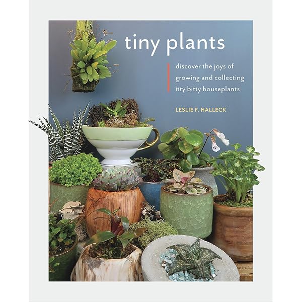 Plant Parenting: Easy Ways to Make More Houseplants, Vegetables, and  Flowers: Halleck, Leslie F.: 9781604698725: Amazon.com: Books