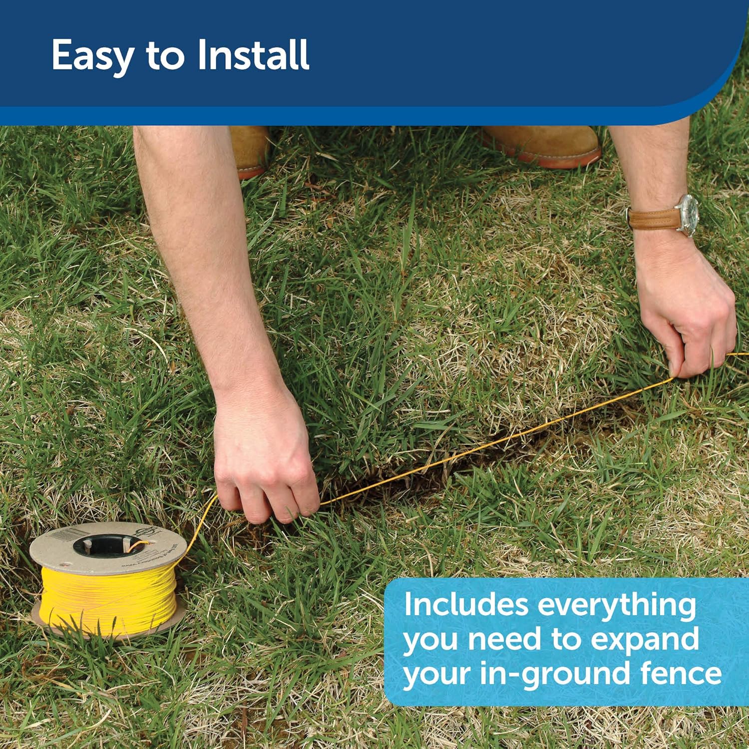 petsafe wire and flags