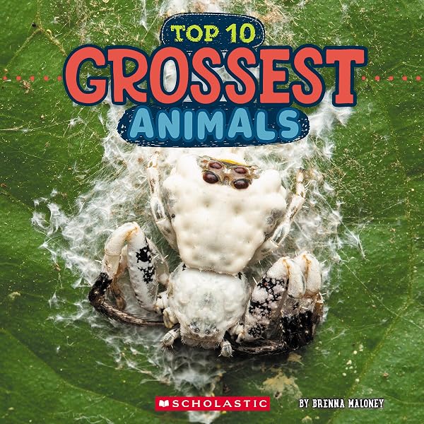 Top 10 Scariest Animals (Wild World): Maloney, Brenna