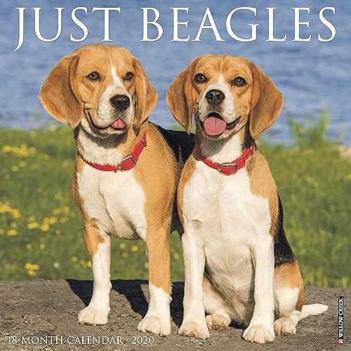Download Just Beagles 2020 Calendar PDF