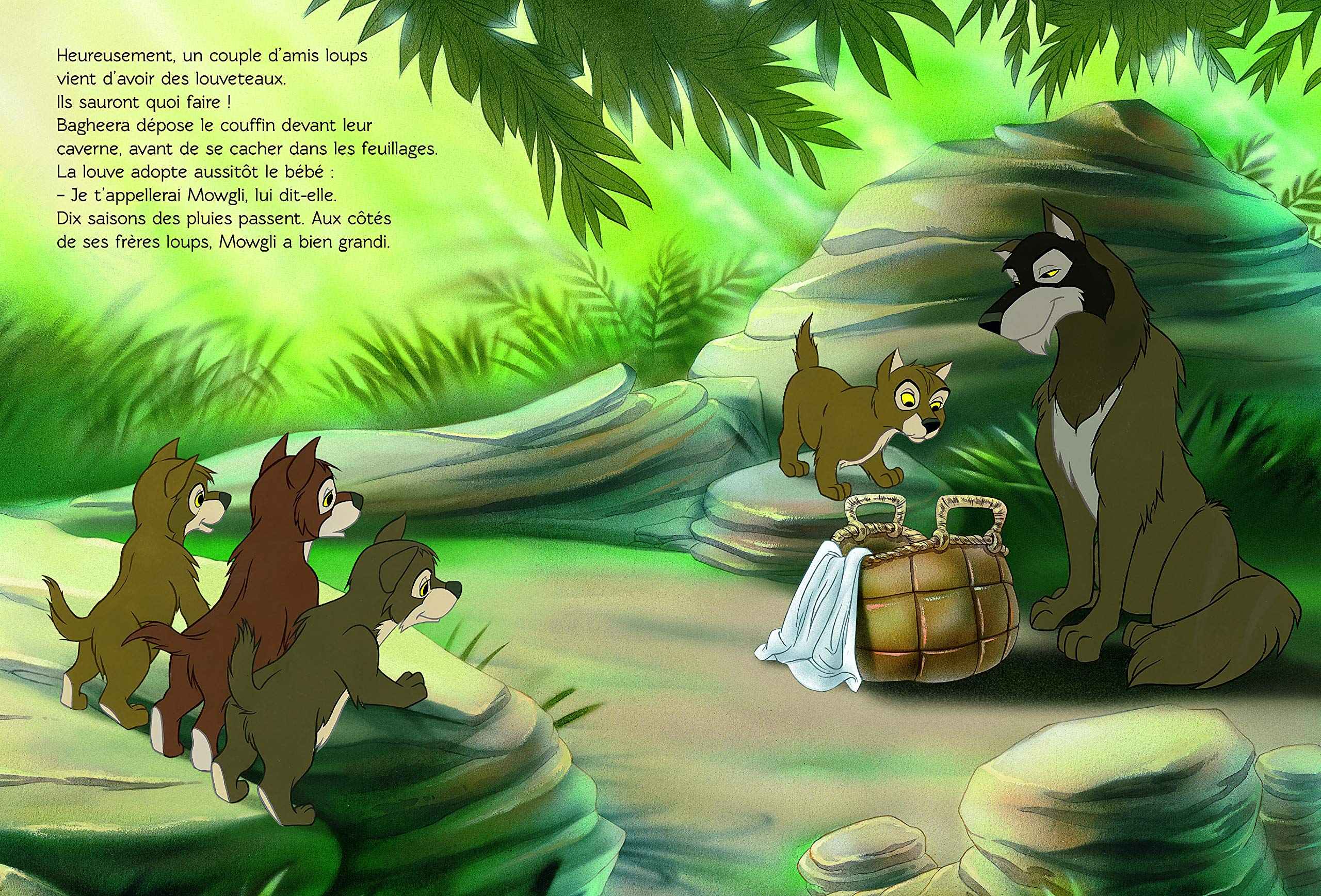 Le Livre De La Jungle Disney Cinema L Histoire Du Film Amazon Co Uk Disney Books