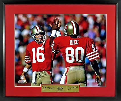 framed jerry rice jersey