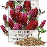 Seed Needs Flower Seeds to Plant Crimson Clover - Bulk Pack | Heirloom &amp; Open Pollinated Wildflower Seed for Planting a Home Grown Butterfly Garden to Attract Pollinators