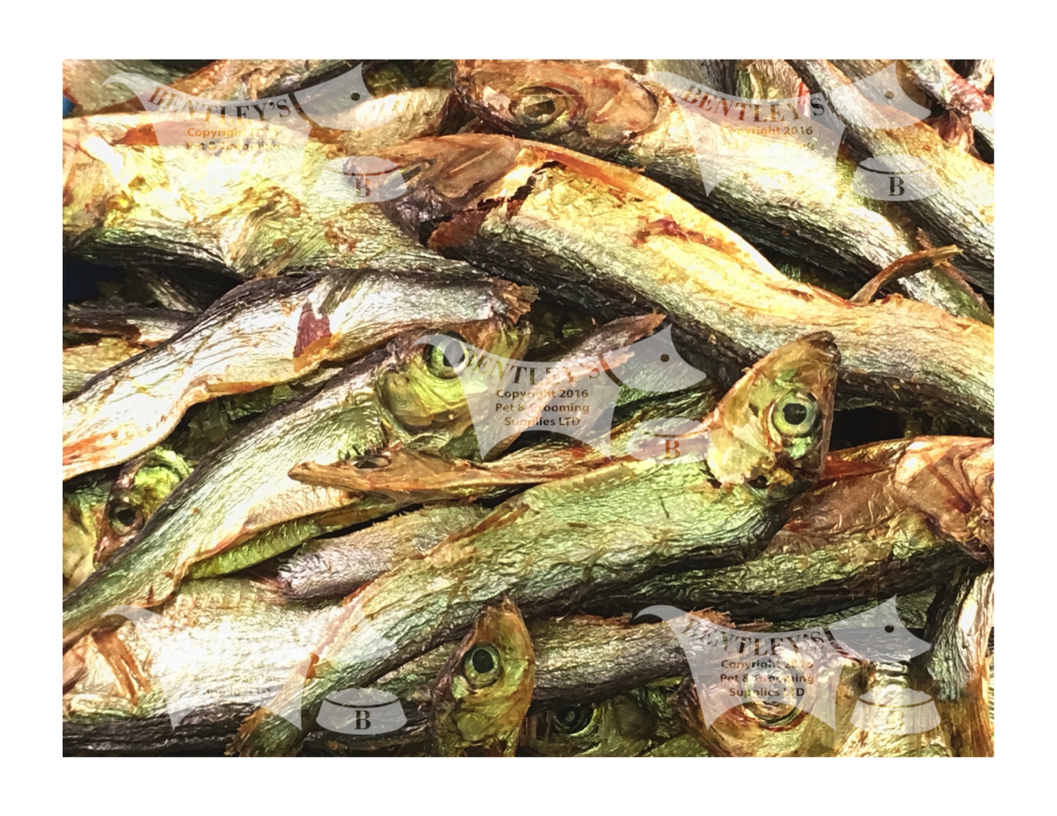 Bentley's Dried Sprats, Bulk Buy, Dried Fish 3 Kilos Buy Online in