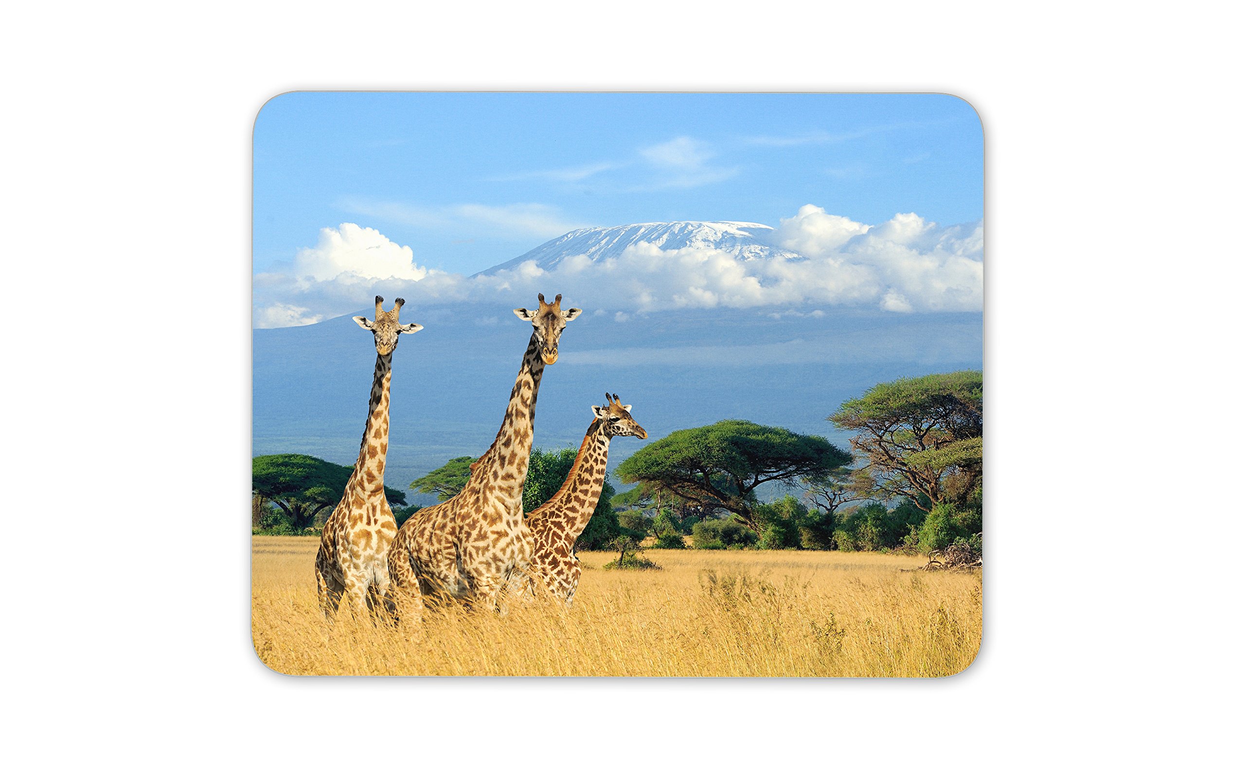 Wild Giraffe's Mouse Mat Pad Giraffe Africa Animal Gift Computer PC Gift #8150