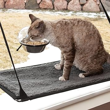 suction cup cat bowl
