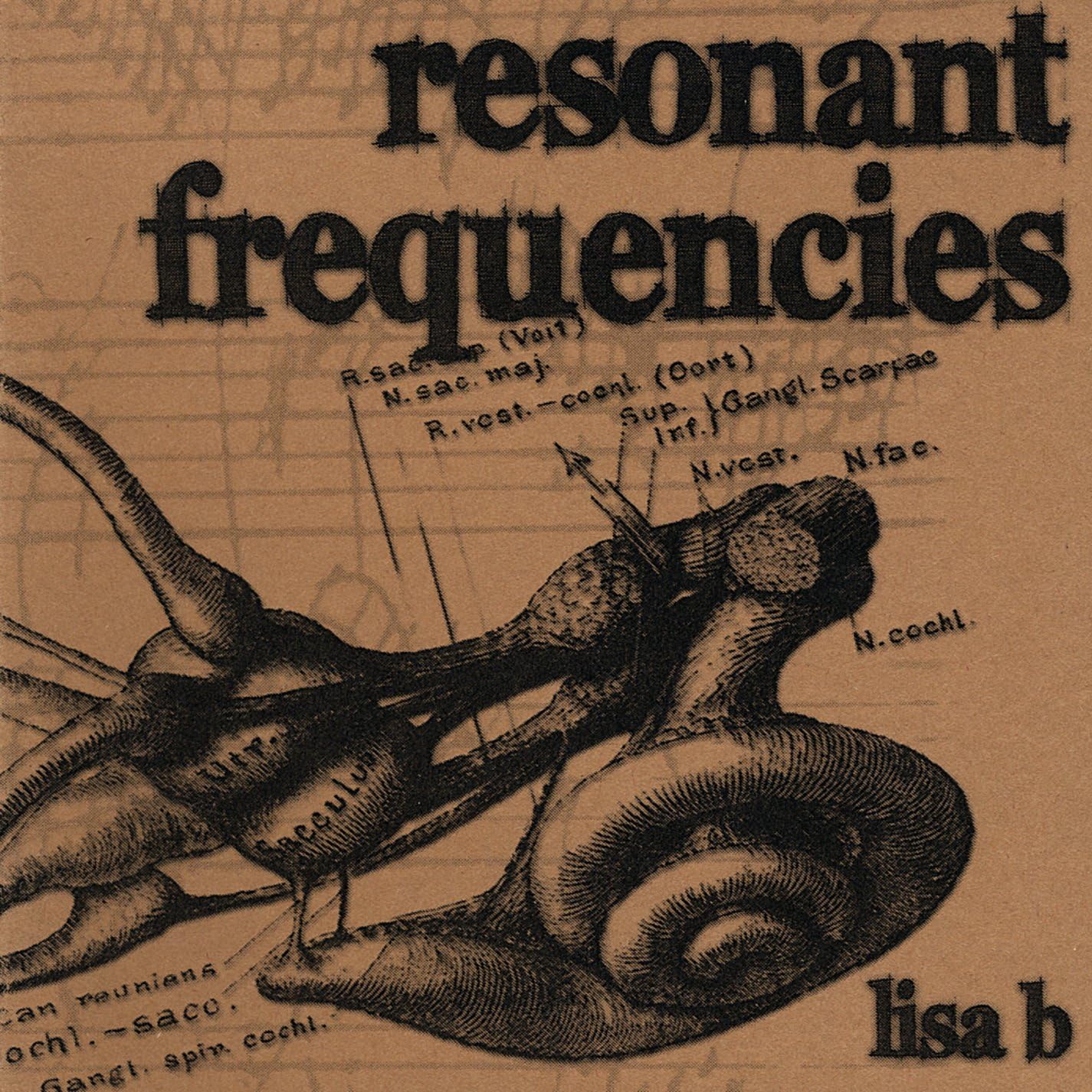 Resonant Frequencies Amazon.co.uk Music