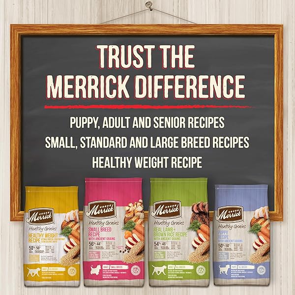 MERRICK HEALTHY GRAINS PREMIUM DRY DOG FOOD FOR SMALL DOGS, WHOLESOME AND NATURAL KIBBLE, SMALL BREED RECIPE – 4.0 LB. BAG