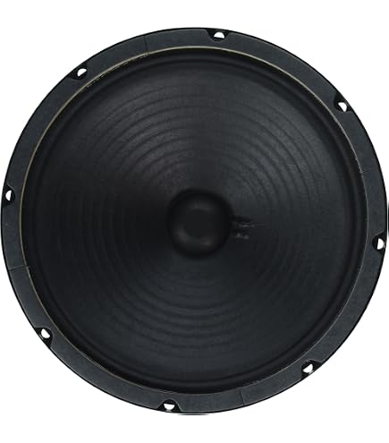 Amazon.com: Jensen 12