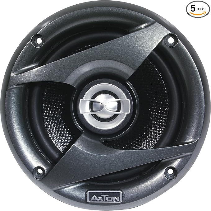 axton subwoofer