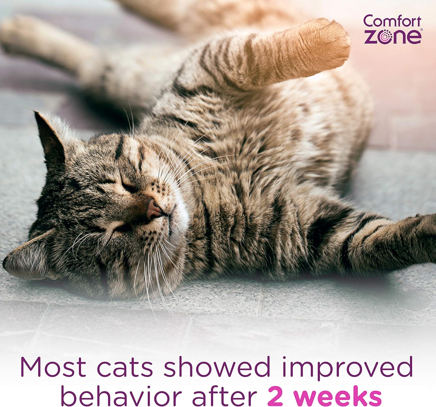 Comfort Zone Cat Calming Diffuser Refill, 48 ml-6 pack, 180 Day Use : Garden & Outdoor