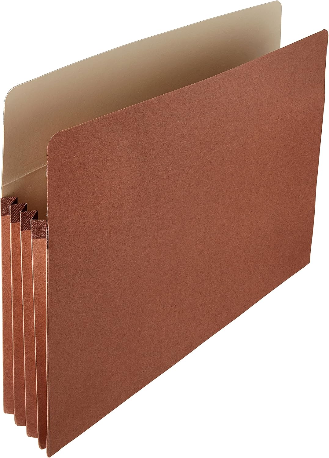 Basics Expanding Accordian Organizer File Folders - Letter Size, 25-Pack : Office Products