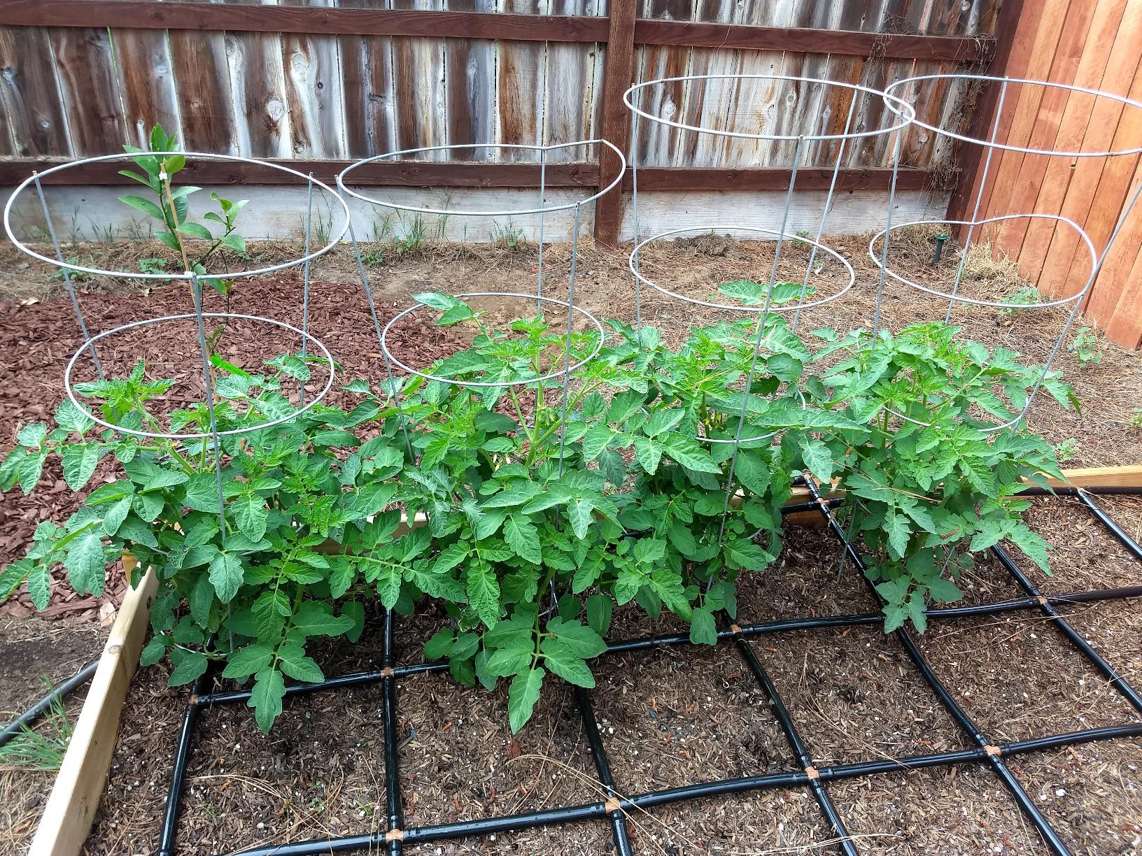 6/mo Finance MultiGarden Grid Connection Manifold Connect Two