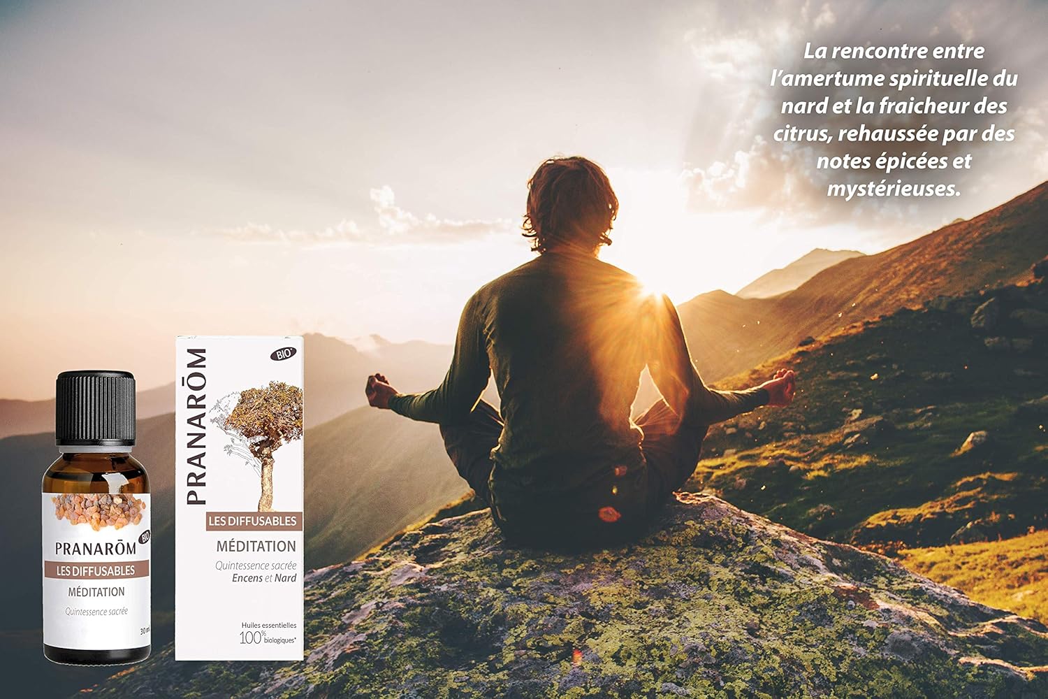 Pranarom Meditación Aceite Difusión, 30 ml, Pack de 1: Amazon.es ...