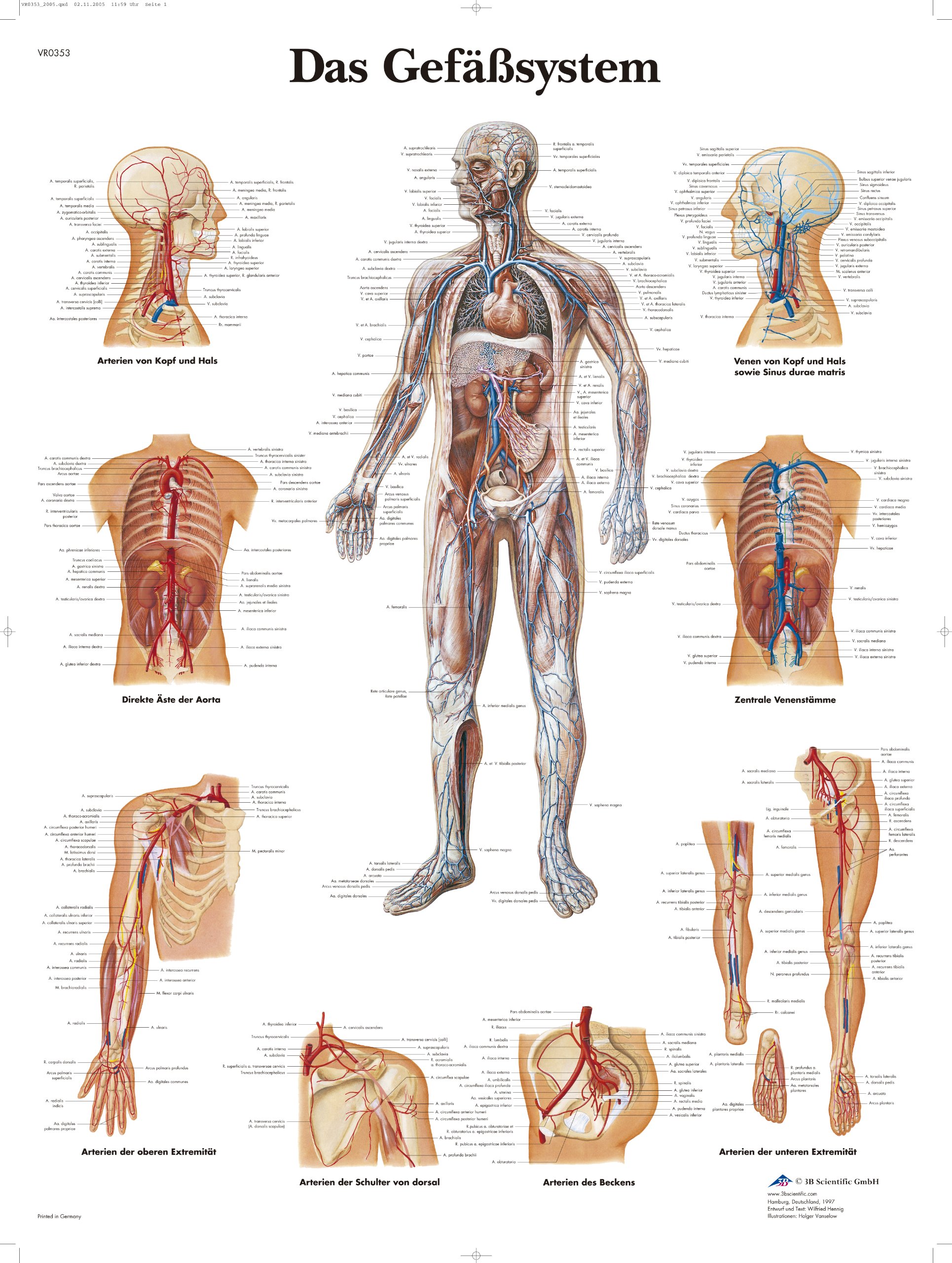 3B Scientific – Laminated Shoulder & Elbow Chart – Anatomy & Pathology – UV & Dust-Protected Poster for Study, Teaching & Clinics