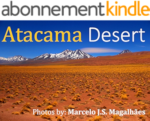 Download Atacama Desert (English Edition) PDF