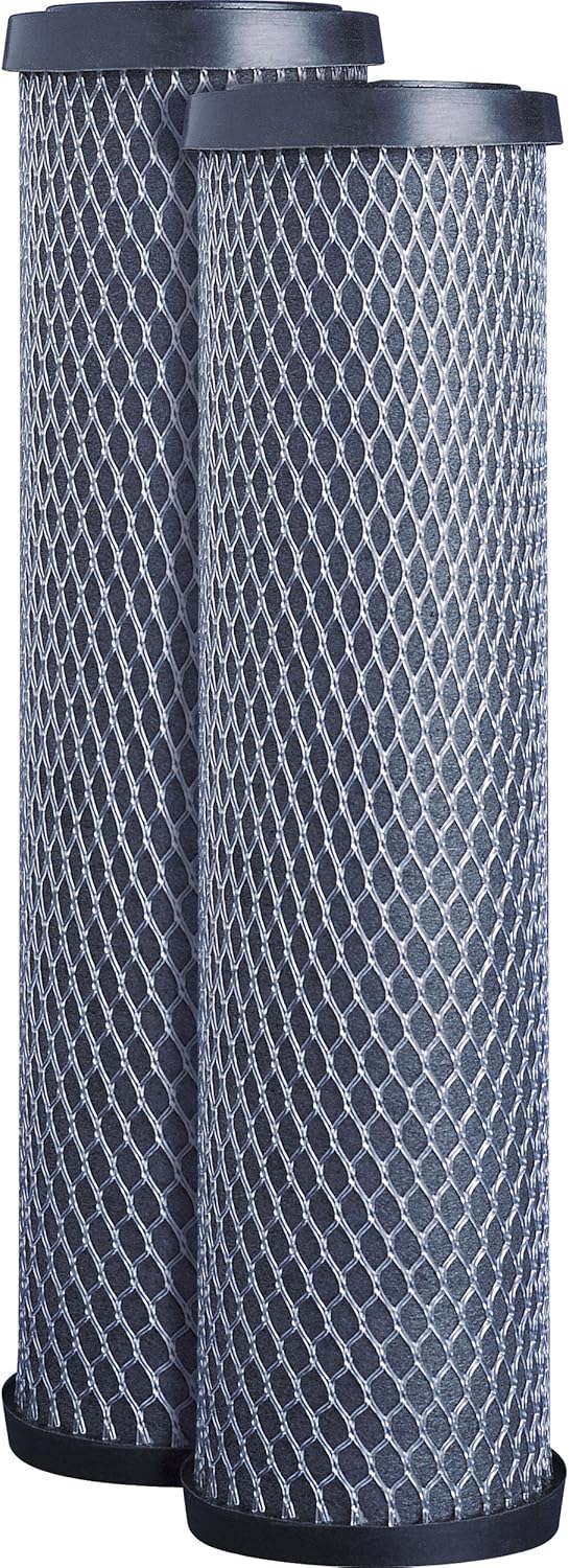 GE FXWTC Whole Home System Replacement Filter Set, Pack of 2: Home Improvement