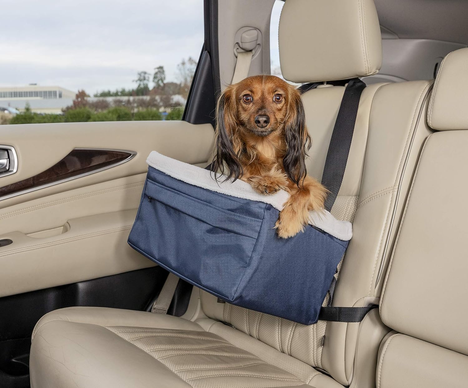 PetSafe Solvit Booster Seat Pet Booster Seat for Cars, Trucks, SUVs
