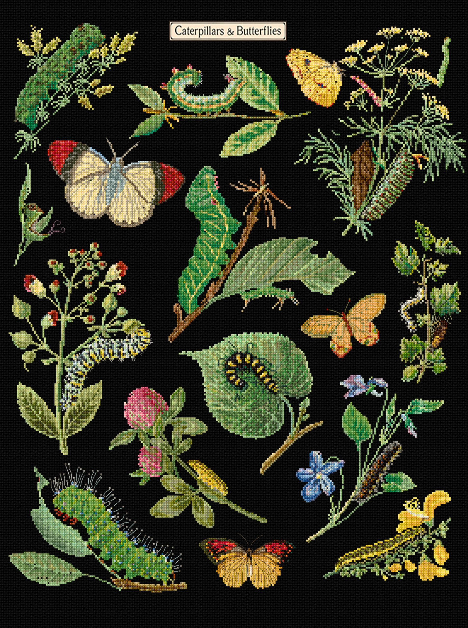 Thea Gouverneur - Counted Cross Stitch Kit - Caterpillars and Butterflies - Black Aida - 16 Count - for Adults - DMC Embroidery Threads and Other Cross Stitch Supplies Included - 587.05
