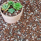 Biotolot Bonsai Soil, 10QT Organic Potting Soil Mix Ready to Use | Premixed Bonsai Soil with Perlite, Bark, Volcanic Rock and Green Zeolite, Enhanced Aeration &amp; Drainage for Potted Plants