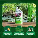 Envii Pond Klear Natural Green Pond Water Treatment 1L Treats 40,000L view 2