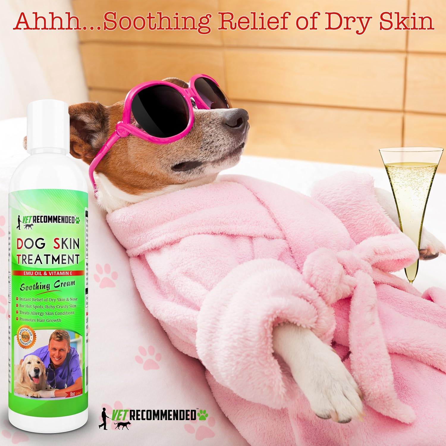 10 Common Dog Skin Problems and How to Deal with Them 10