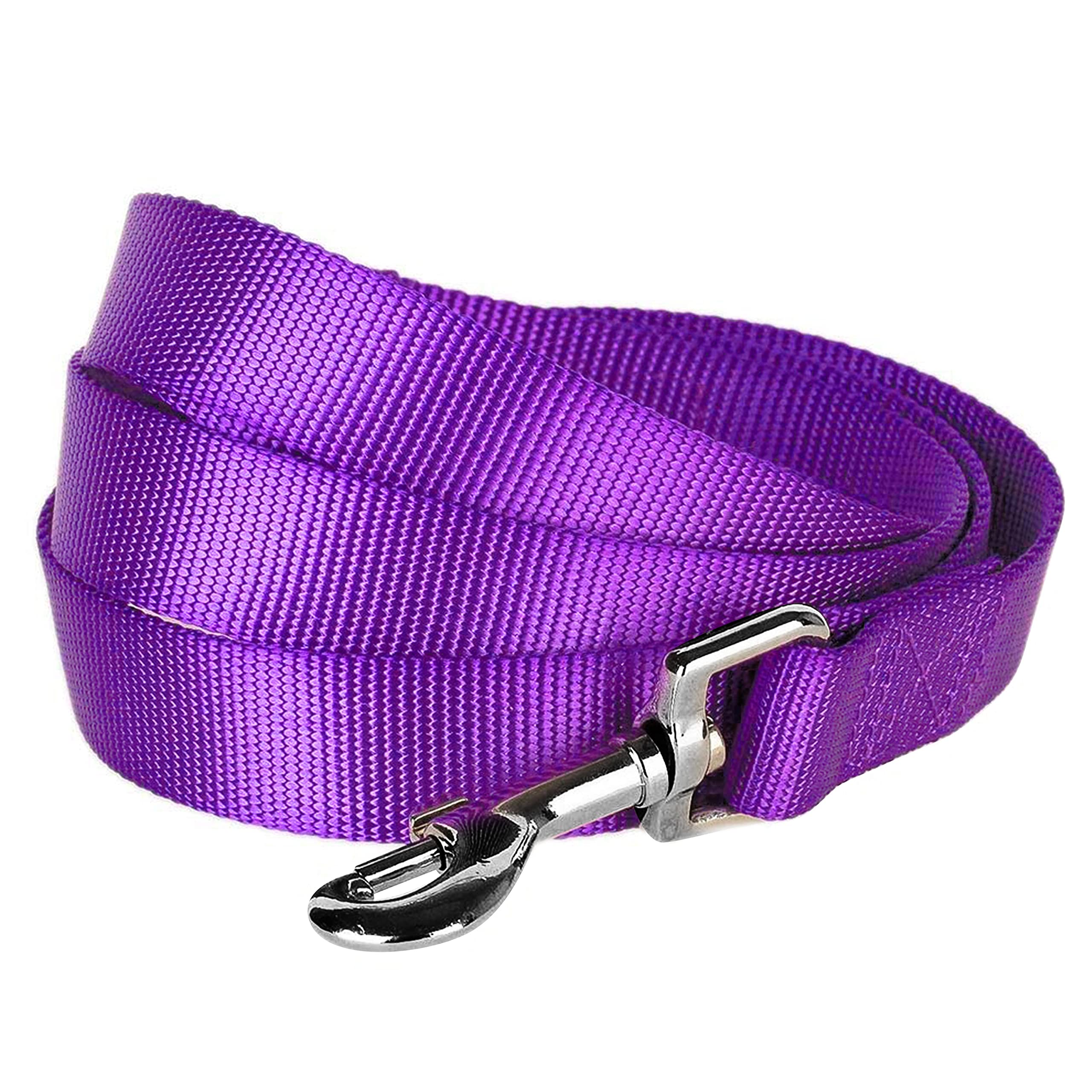 Blueberry Pet Essentials Dark Orchid Dog Leash for Medium 5' * 3/4" Dogs | Heavy Duty Nylon Lead