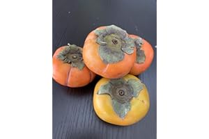 KEJORA Fresh Fuyu Persimmons - 4 Lb Case