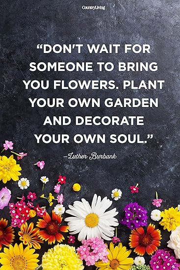 5 Ace Don T Wait For Someone To Bring You Flowers Plant Your Own