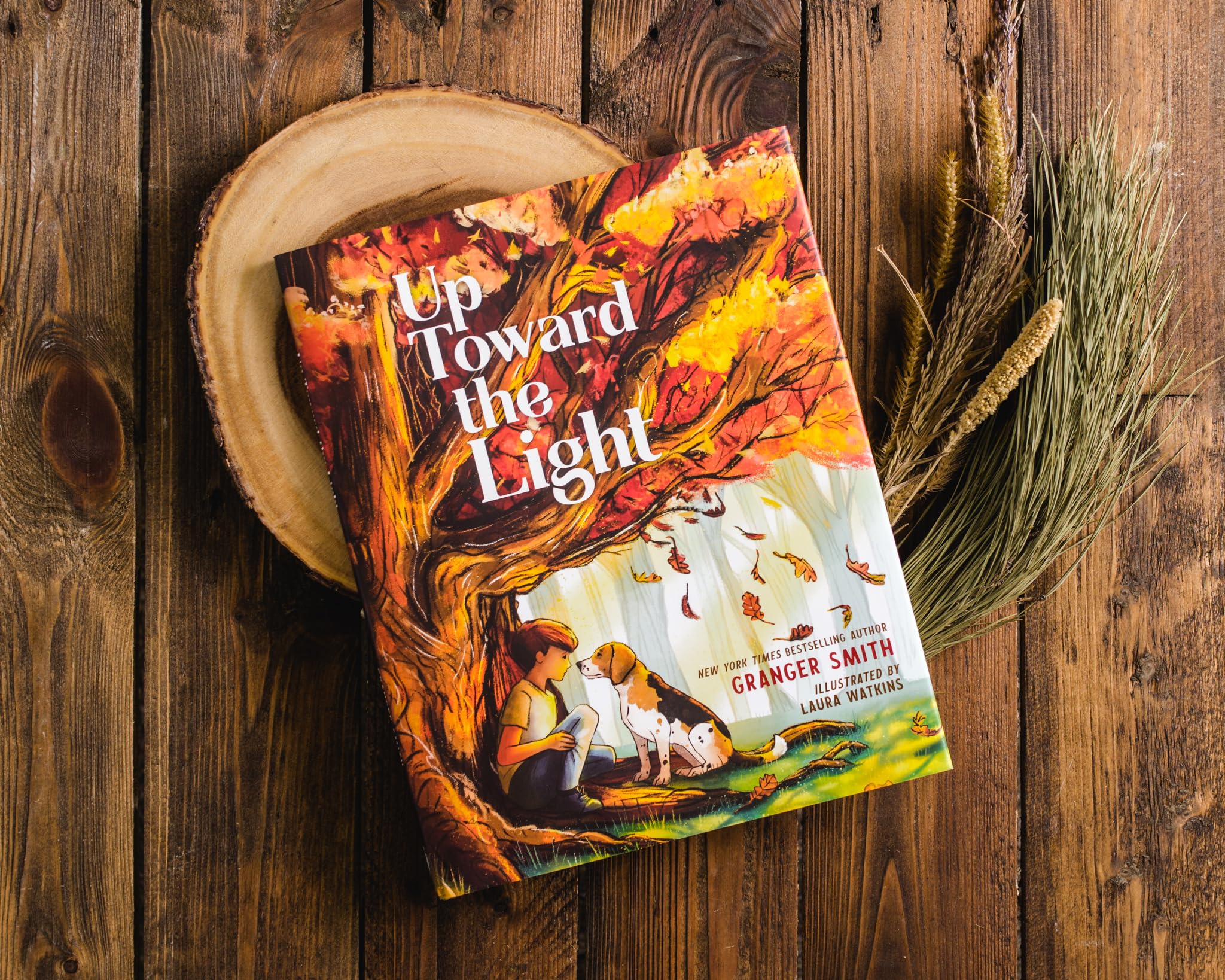 Up Toward the Light Up Toward the Light Hardcover