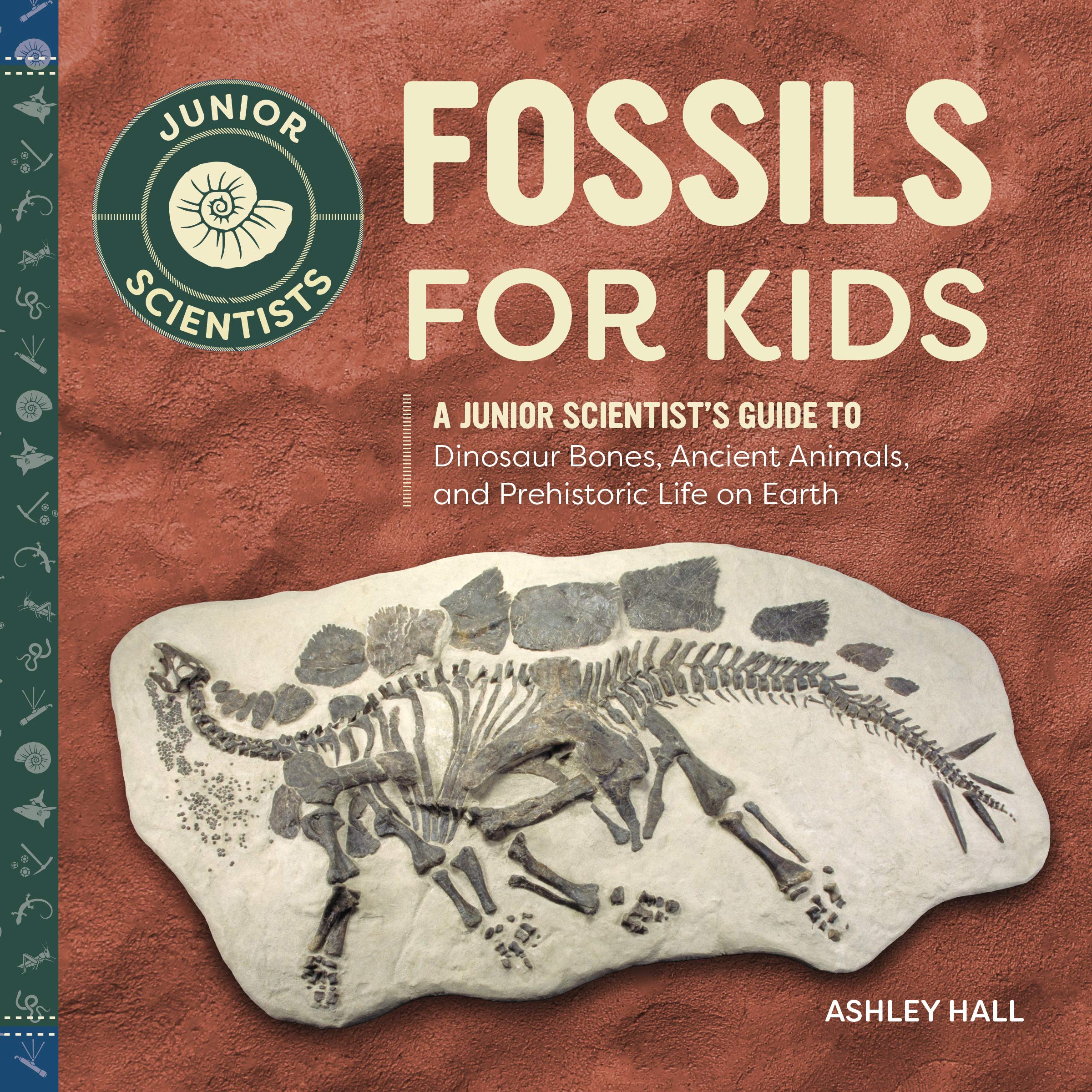 Fossil Store Gateway Hot Sale, 55% OFF 