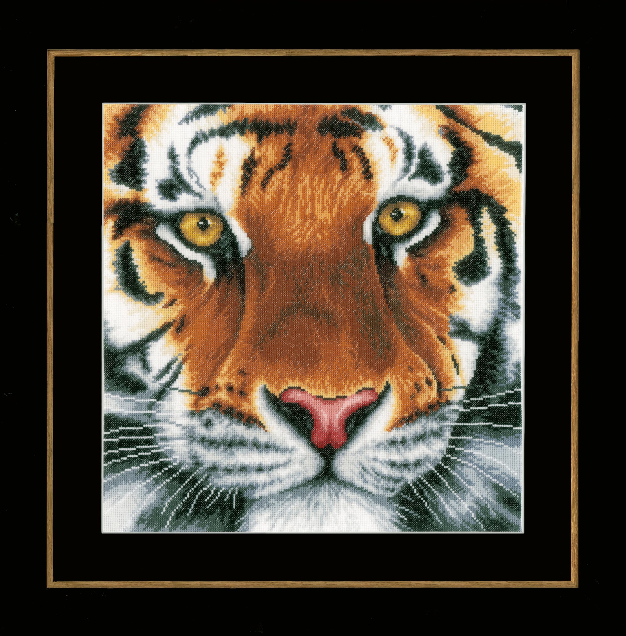 Lanarte Counted Cross Stitch Kit Tiger aida, Synthetic Fiber, Multi, 12x12x0.1 cm