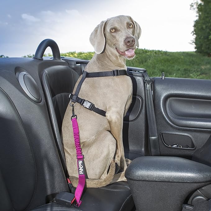 Accessoires Voiture Laat 1pcs Harnais Pour Voiture Ceinture De Securite Pour Chien Chat Animaux De Compagnie Pour Les Sieges De Voiture Auto Et Moto Auto Et Moto Transport Et Rangement