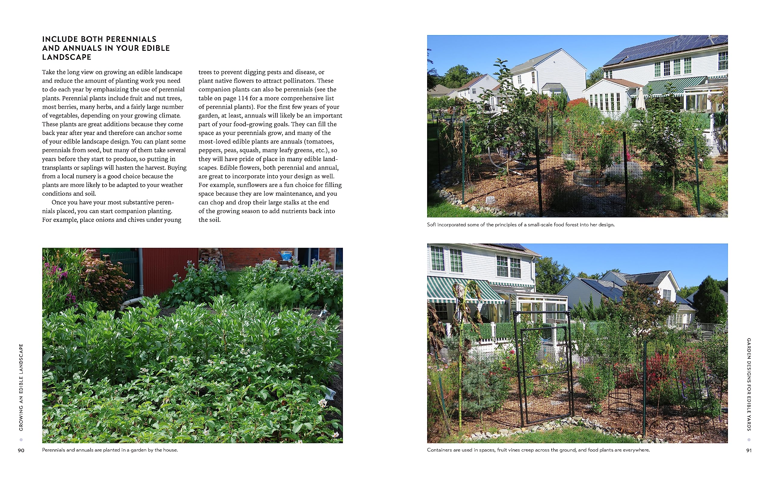 Growing an Edible Landscape: How to Transform Your Outdoor Space into a Food Garden