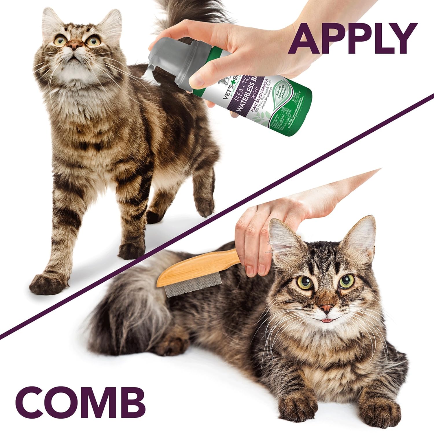 Reviews Vet