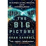 The Big Picture: On the Origins of Life, Meaning, and the Universe Itself