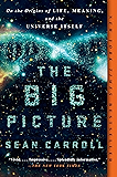 The Big Picture: On the Origins of Life, Meaning, and the Universe Itself