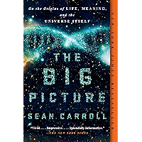 The Big Picture: On the Origins of Life, Meaning, and the Universe Itself