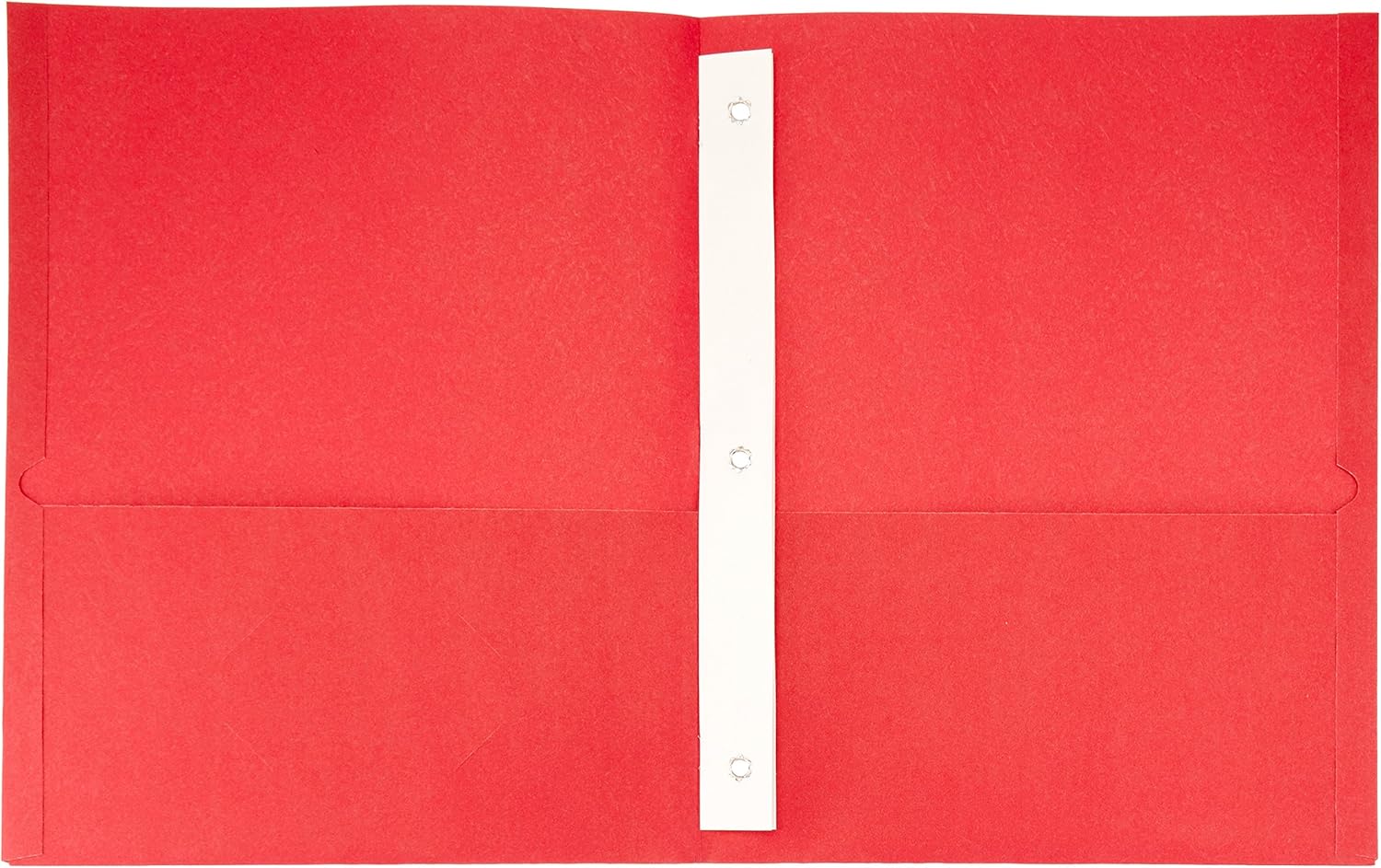 Basics Twin Pocket File Folders with Fasteners, 25-Pack : Office Products