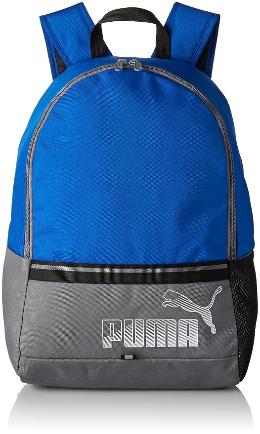 Puma 23 Ltrs Lapis Blue-Quiet Shade Laptop Backpack (7441308)