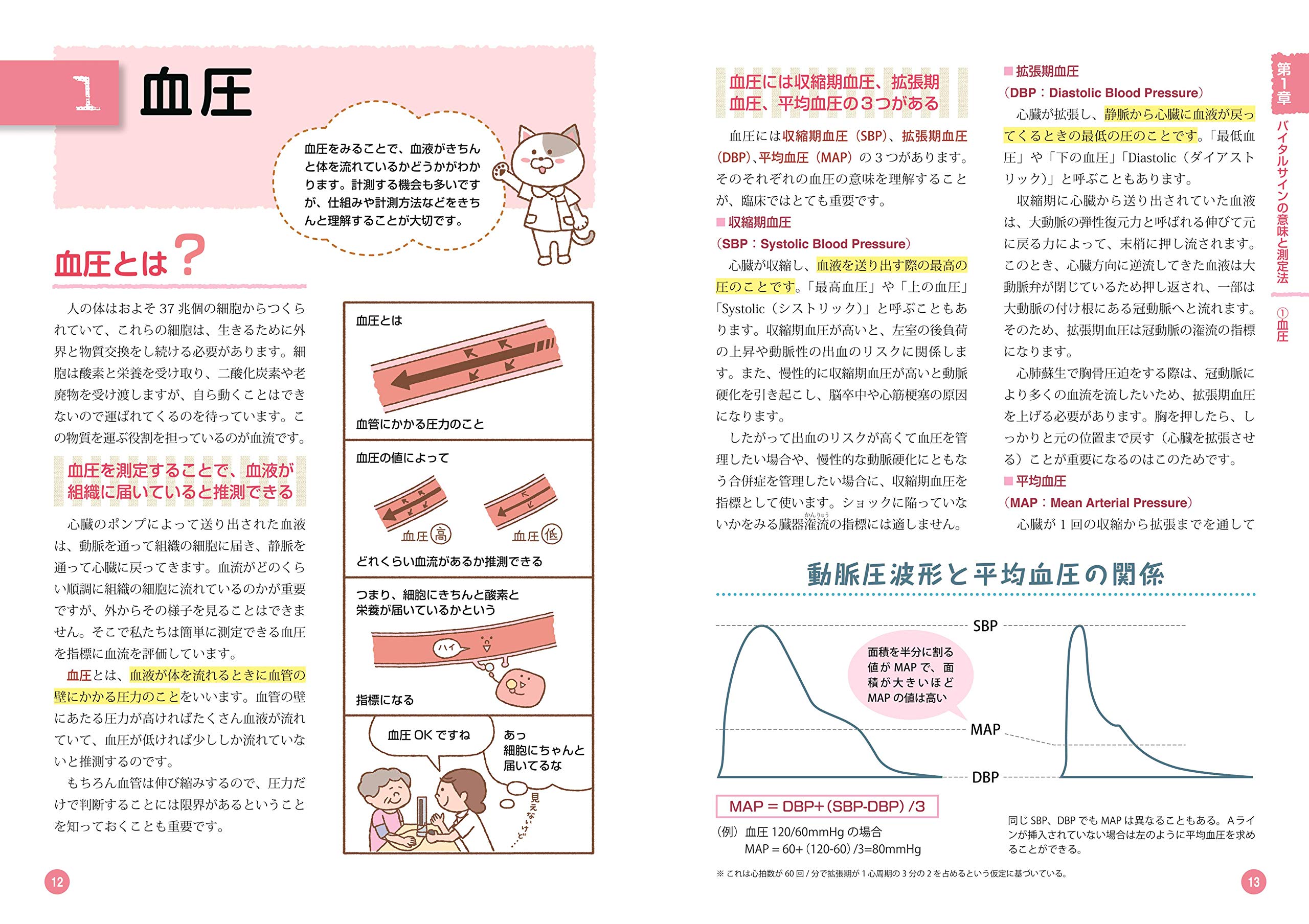 これならわかる バイタルサイン 見かたとアセスメント ナースのための基礎book 木下 佳子 本 通販 Amazon