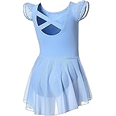DIPUG Ballet Leotards for Girls Ballet Leotard with Skirt Toddler Dance Leotards Flutter Sleeve and Criss-Cross Back